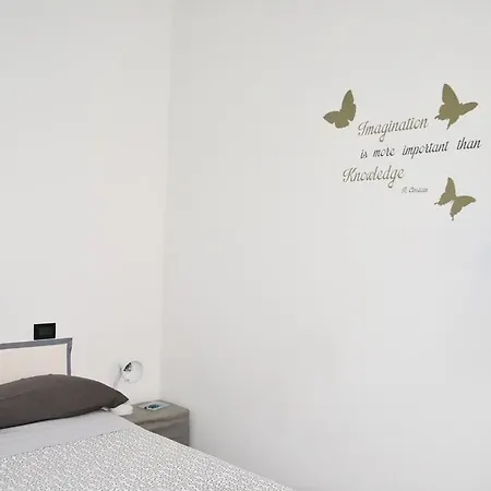 Bondi * Bologna